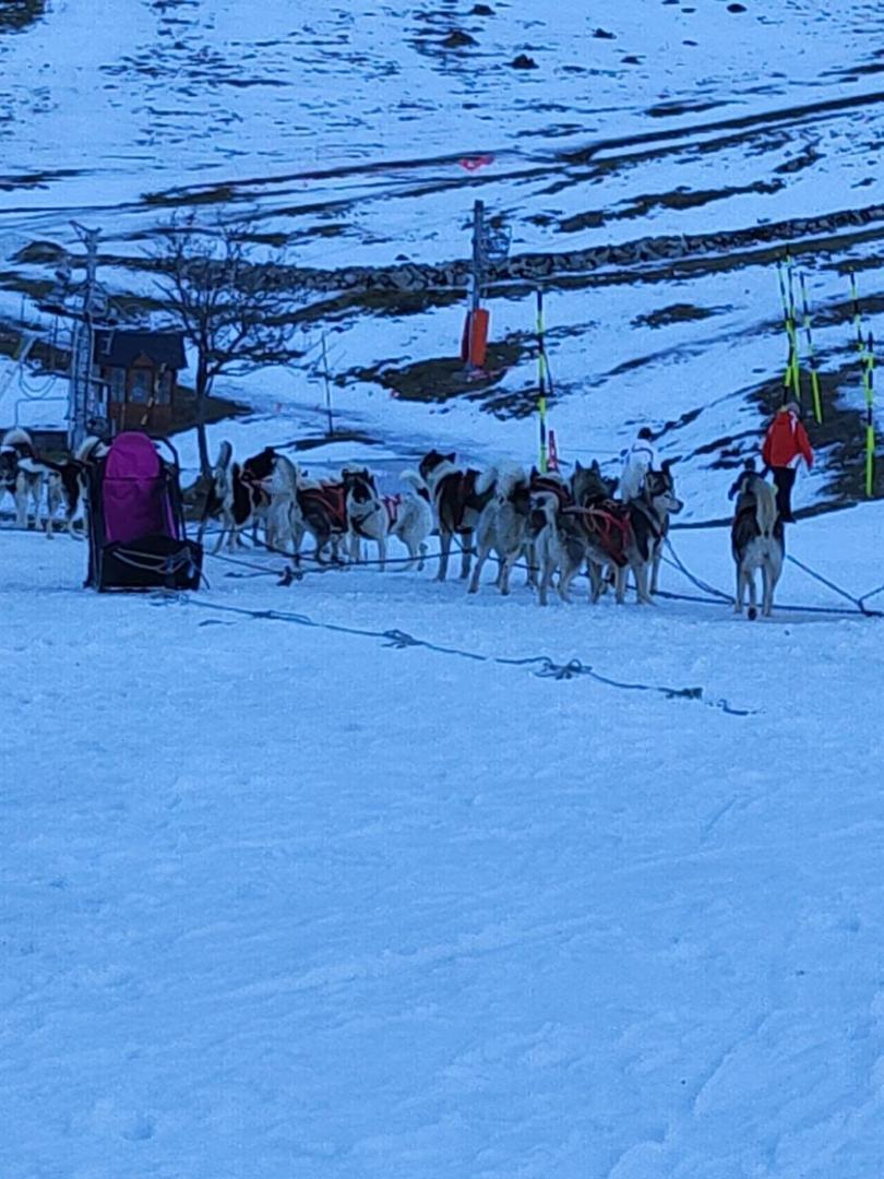 Appart 4/6 Pers Pied Des Pistes La Mongie Bagnères-de-Bigorre Екстериор снимка